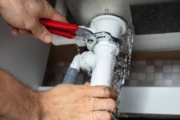 Best Professional water damage repair  in North Randall, OH
