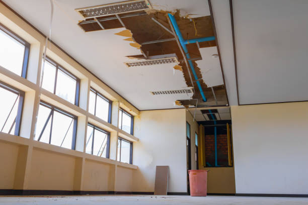 Best Water damage cleanup near me  in North Randall, OH