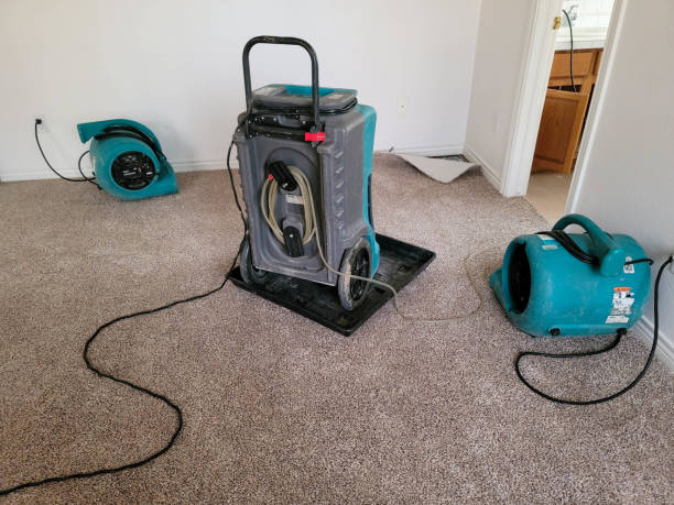  North Randall, OH Water damage restoration Pros