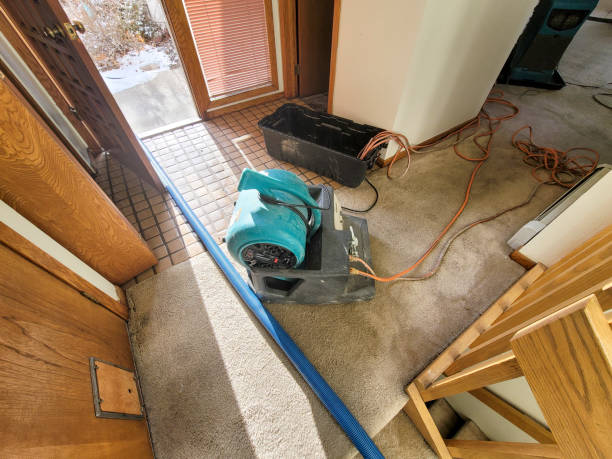 Best Sewage cleanup and water damage restoration  in North Randall, OH